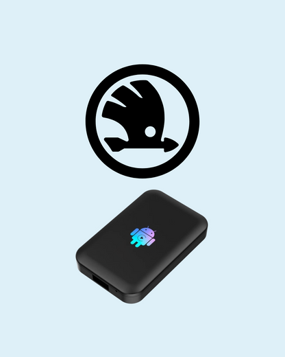 Youtube & Netflix AI-Box voor Skoda